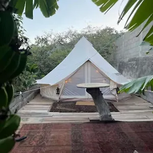 Tente de luxe Yurt In Avocado Garden, Güimar